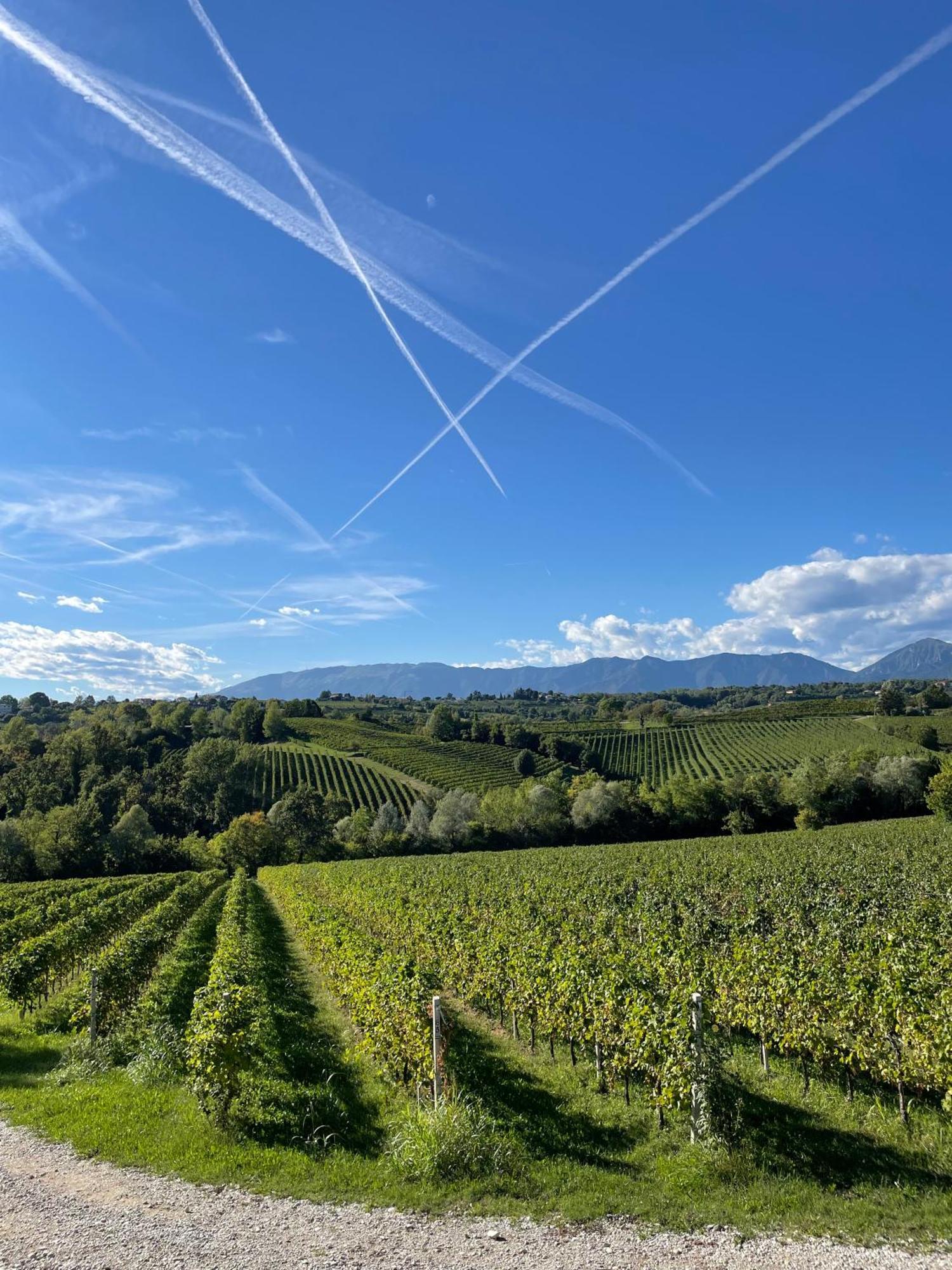 Tenuta Malvolti - Al Vecchio Convento San Fior di Sopra エクステリア 写真